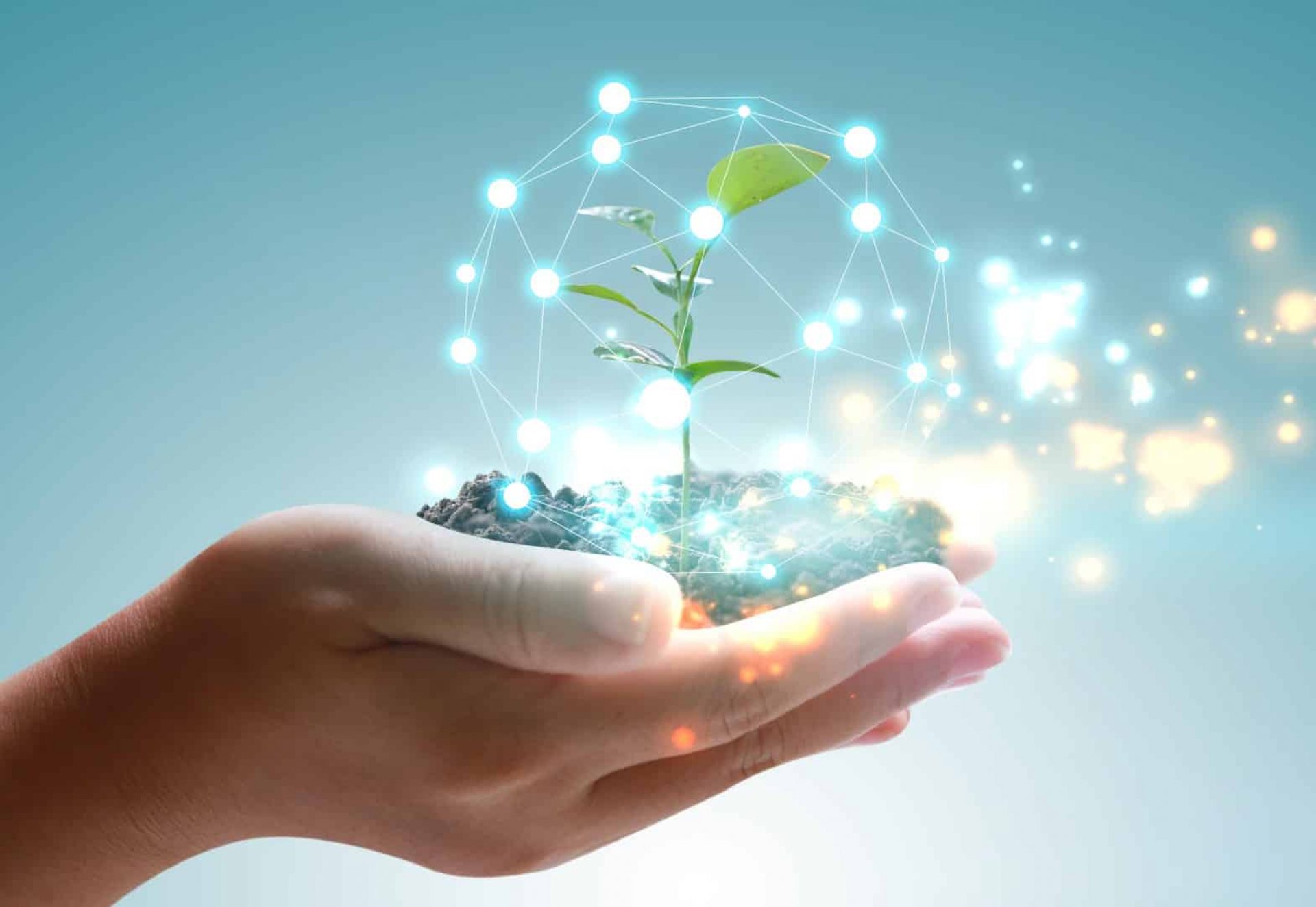 Main tenant un globe avec une plante verte qui pousse. Concept respectueux de l'environnement