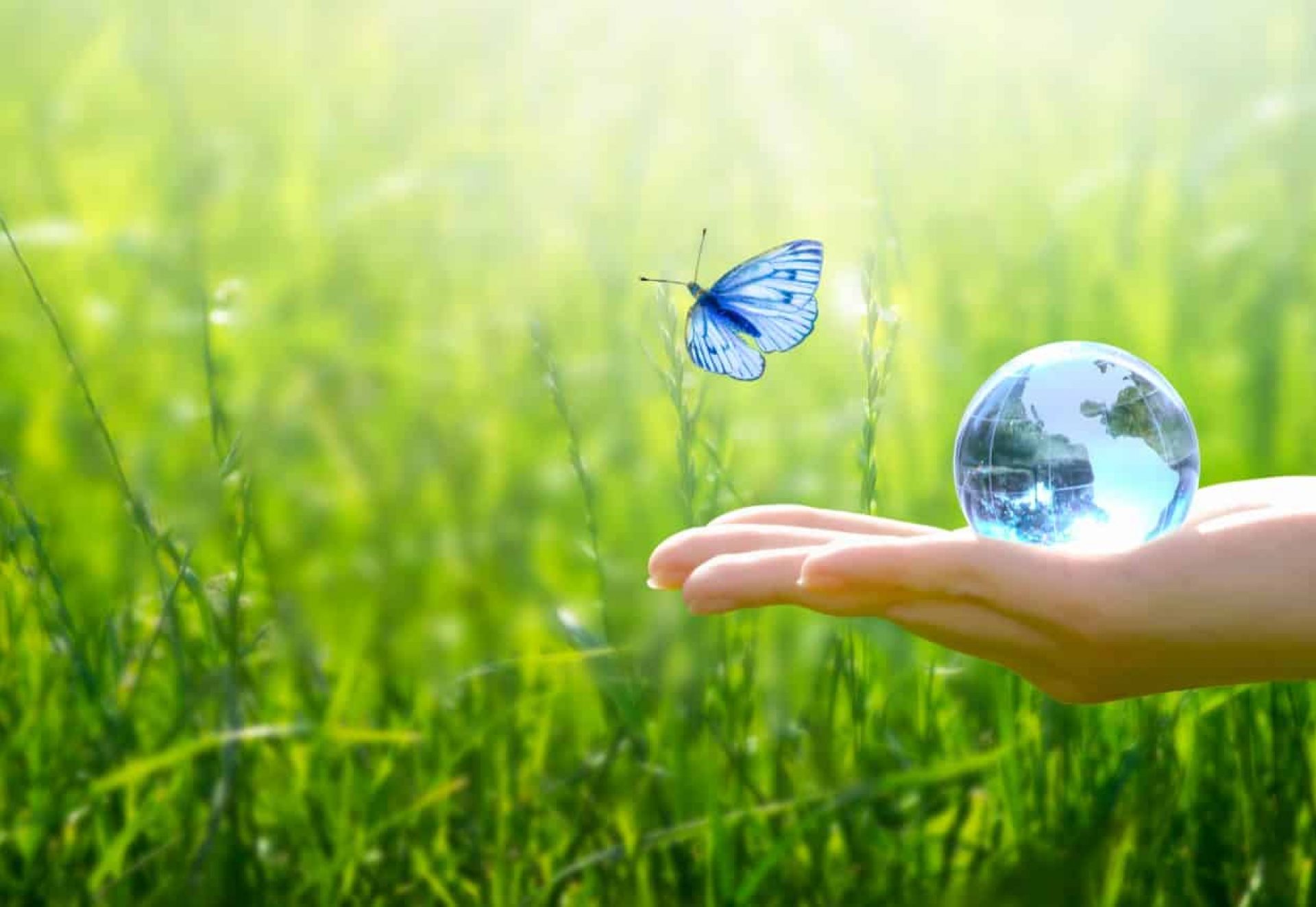 Sauver l'environnement, sauver une planète verte propre, concept écologique. Carte pour la Journée mondi