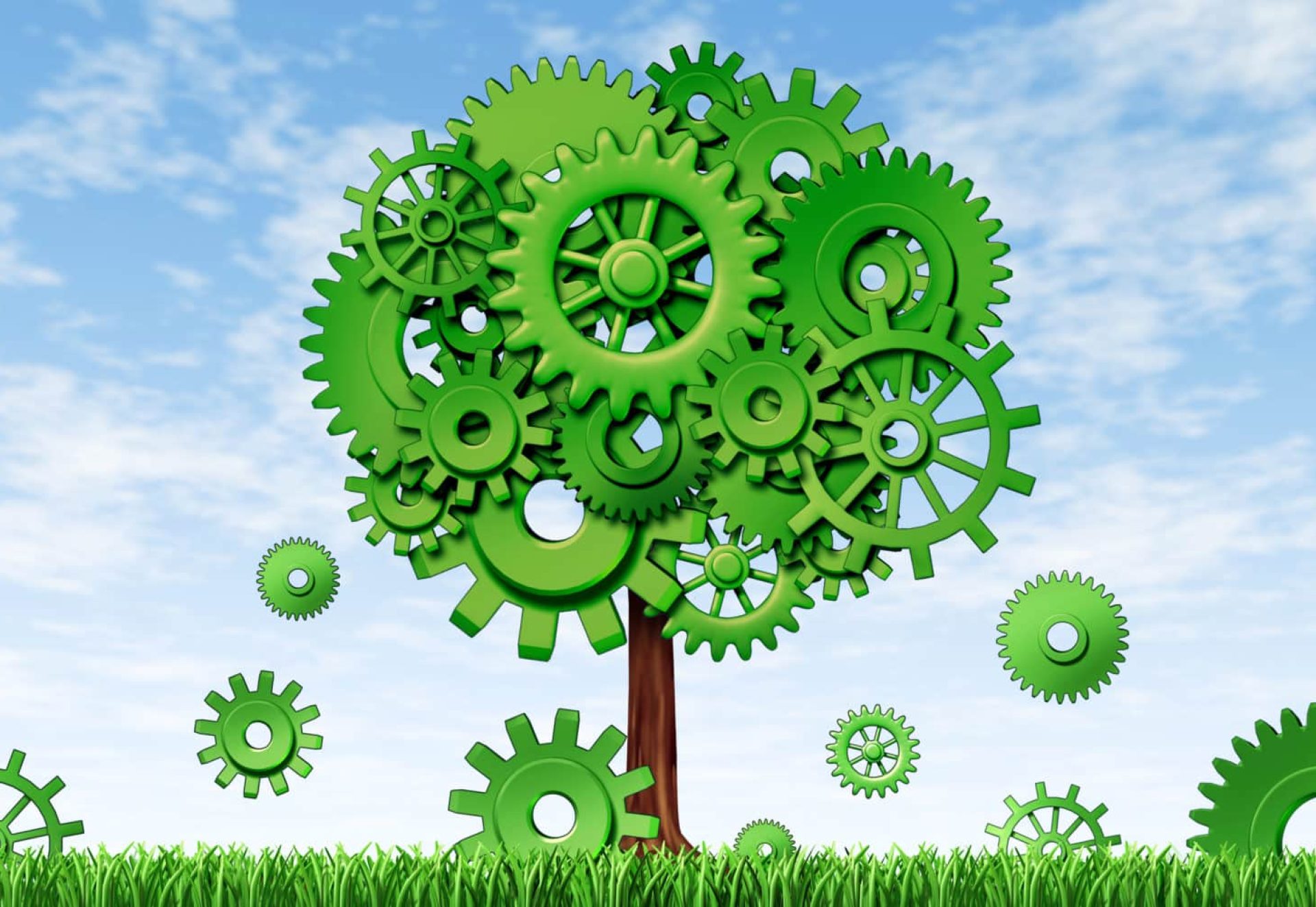 arbre productif arbre productif