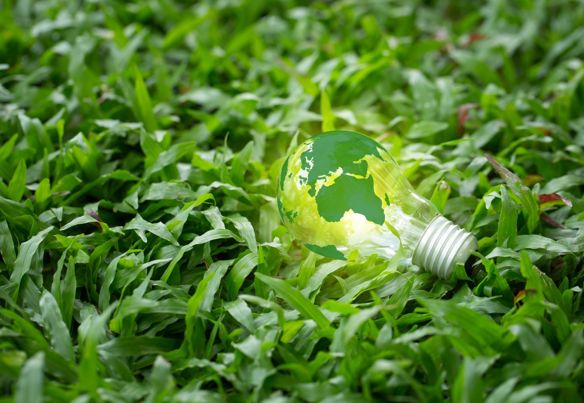 Renewable Energy.Environmental protection, renewable, sustainable energy sources. The green world map is on a light bulb on grass with the sun power energy Renewable energy is important to the world.