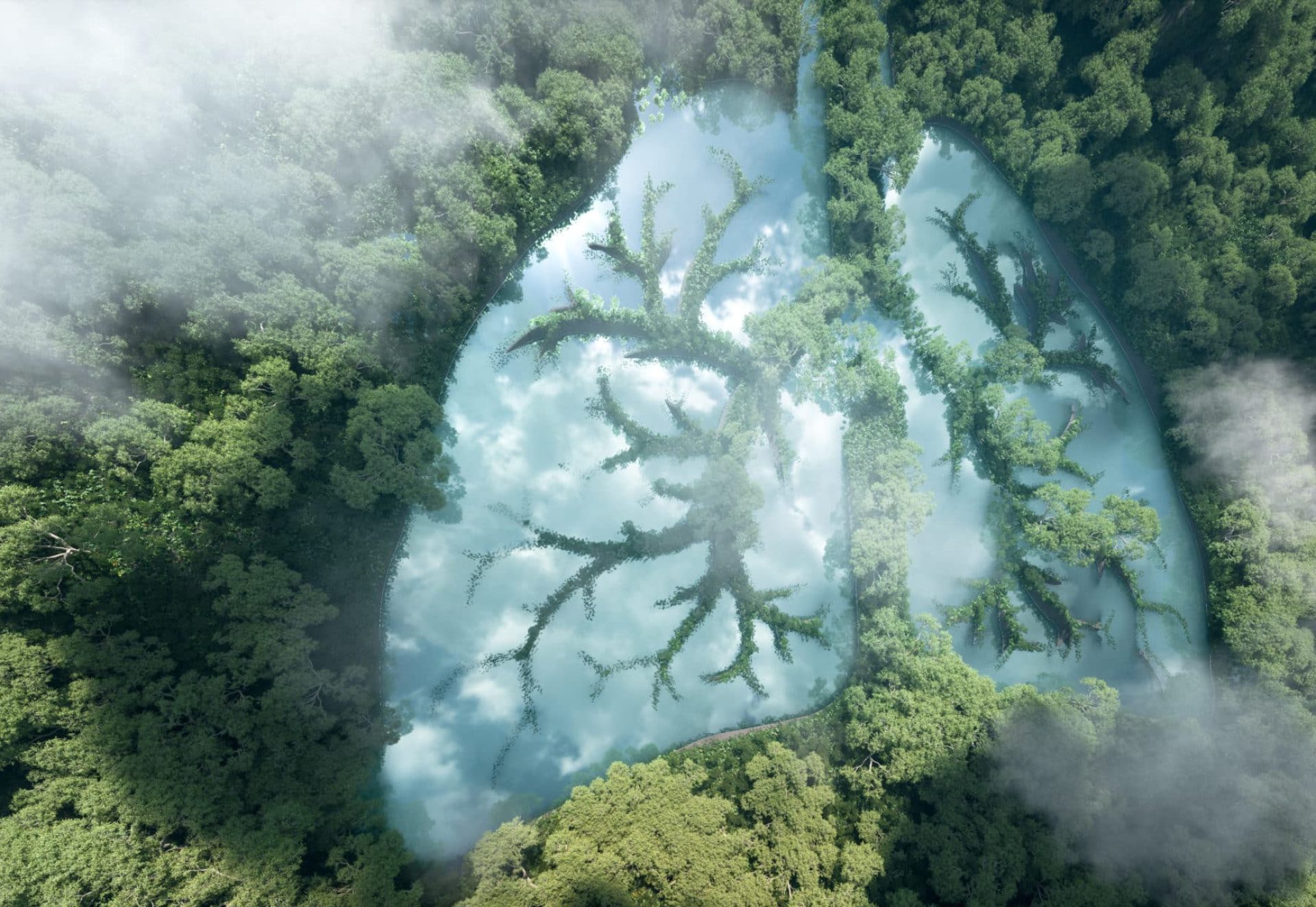 Green,Lungs,Of,Planet,Earth.,3d,Rendering,Of,A,Clean