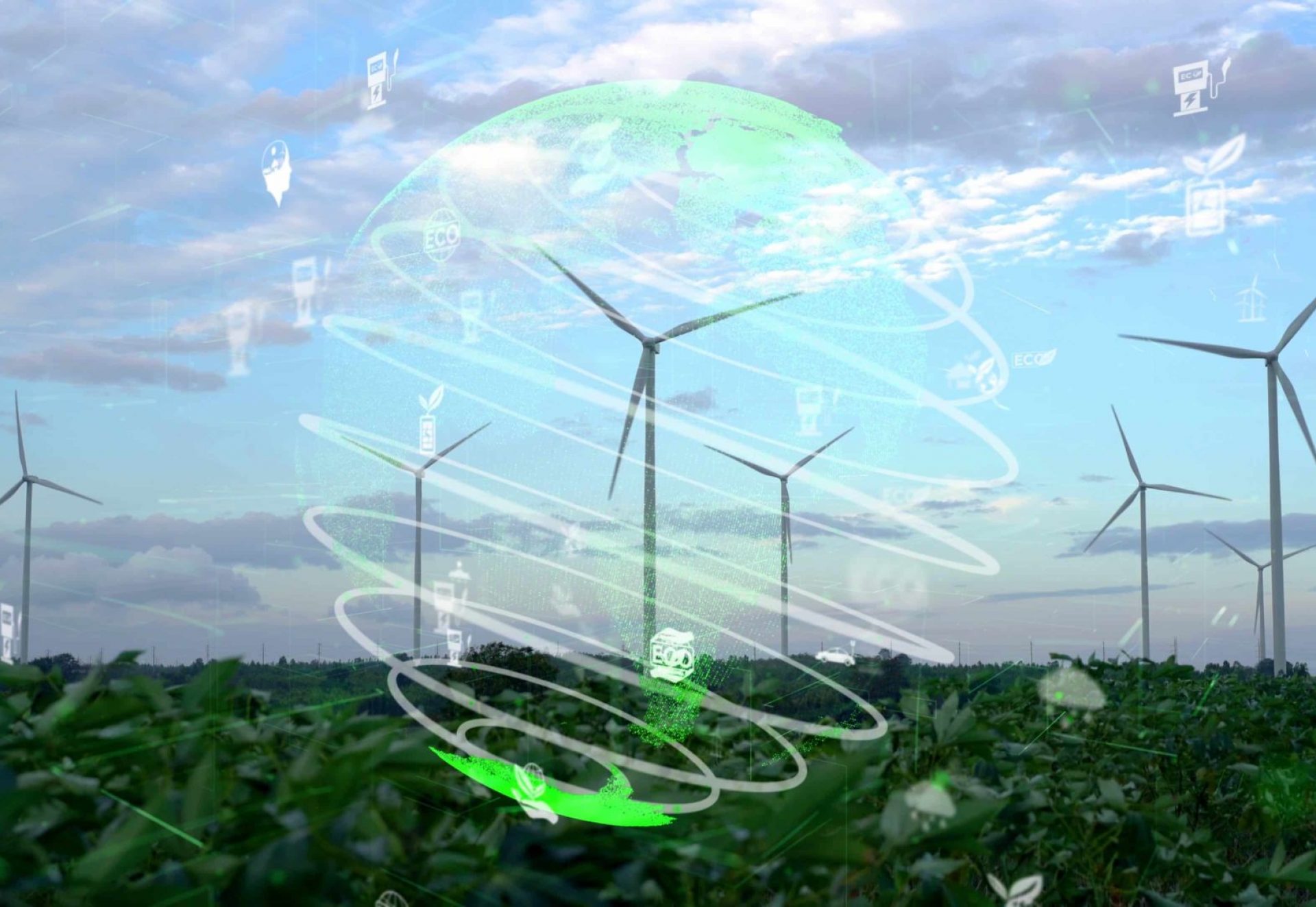 shutterstock_1924802756