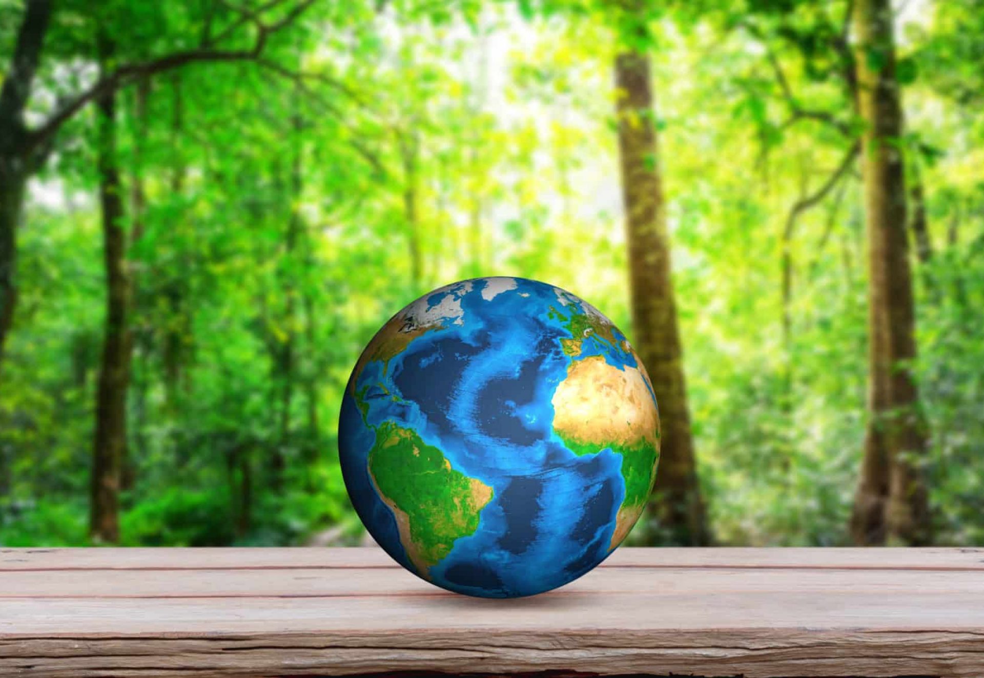 shutterstock_269852897