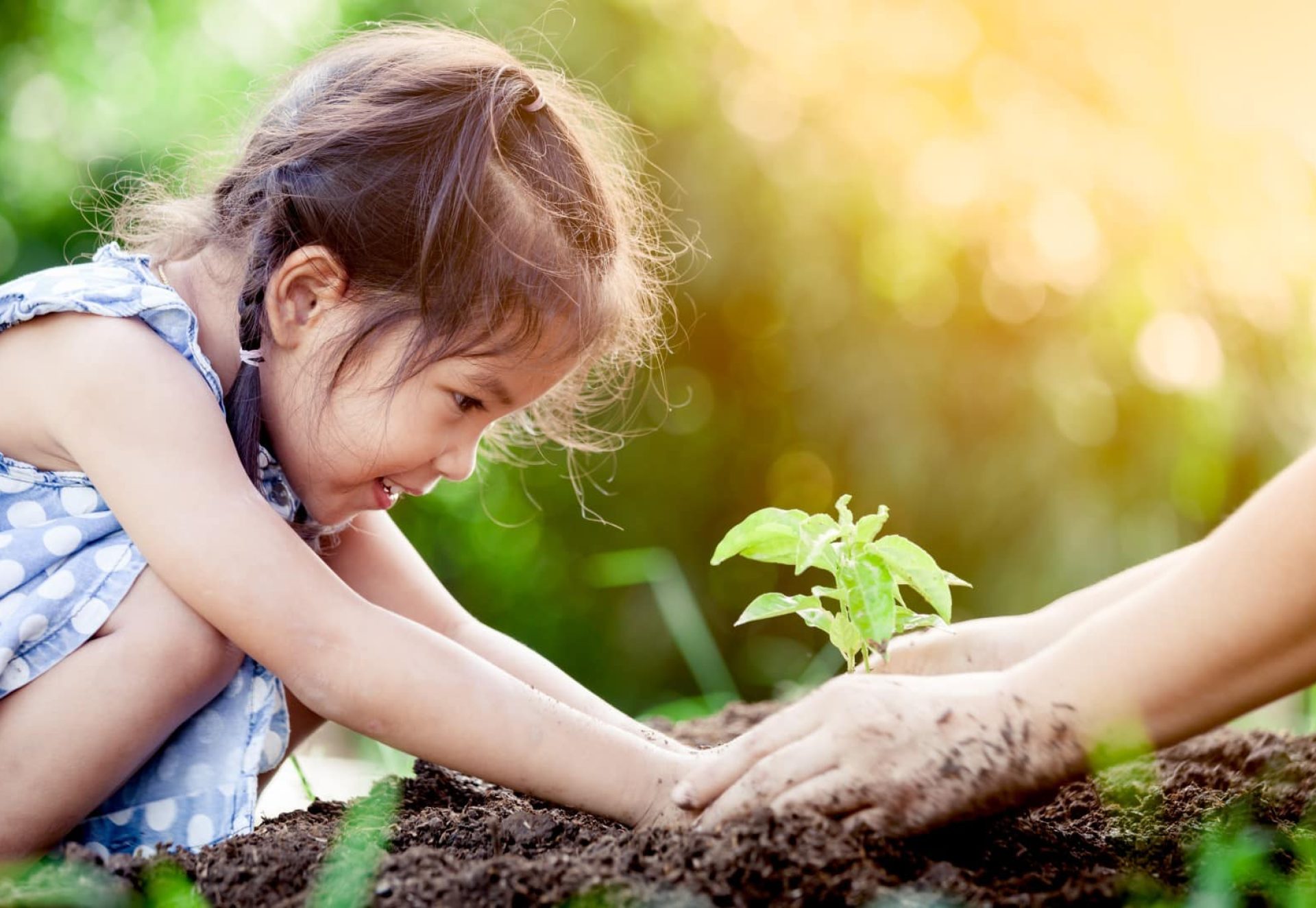 Petite fille asiatique et parent plantant un jeune arbre sur le sol noir ensemble comme concept du monde de sauvegarde sur fond de couleur vintage Petite fille asiatique et parent plantant un jeune arbre sur le sol noir ensemble comme concept du monde de sauvegarde sur fond de couleur vintage