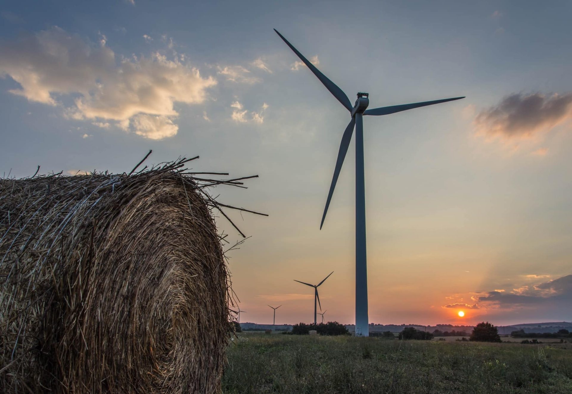 Sustainable Sustainable